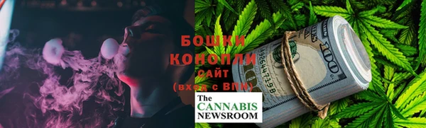 сатива Вязники