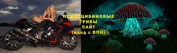 сатива Вязники