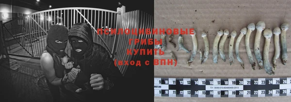 винт Вяземский