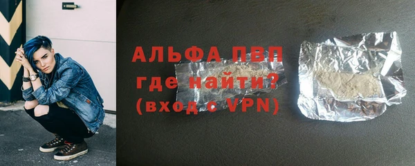 винт Вяземский