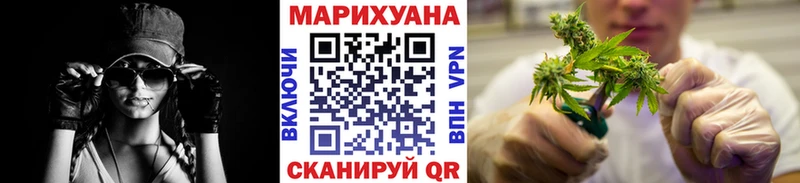 как найти   Норильск  Конопля семена 